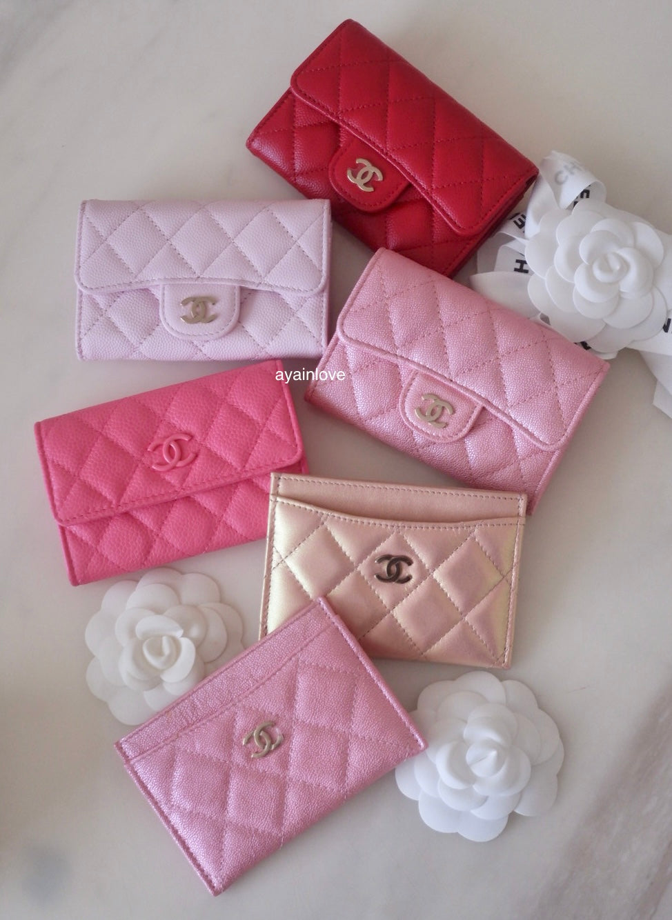 LOUIS VUITTON SLG COLLECTION (Small Leather Goods)
