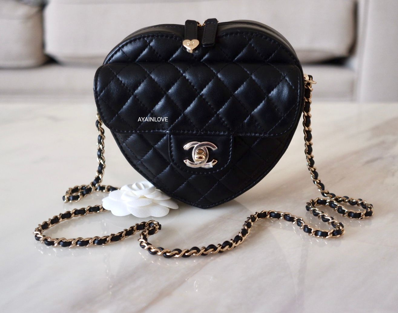 Chanel 22S CC in Love Heart Bag