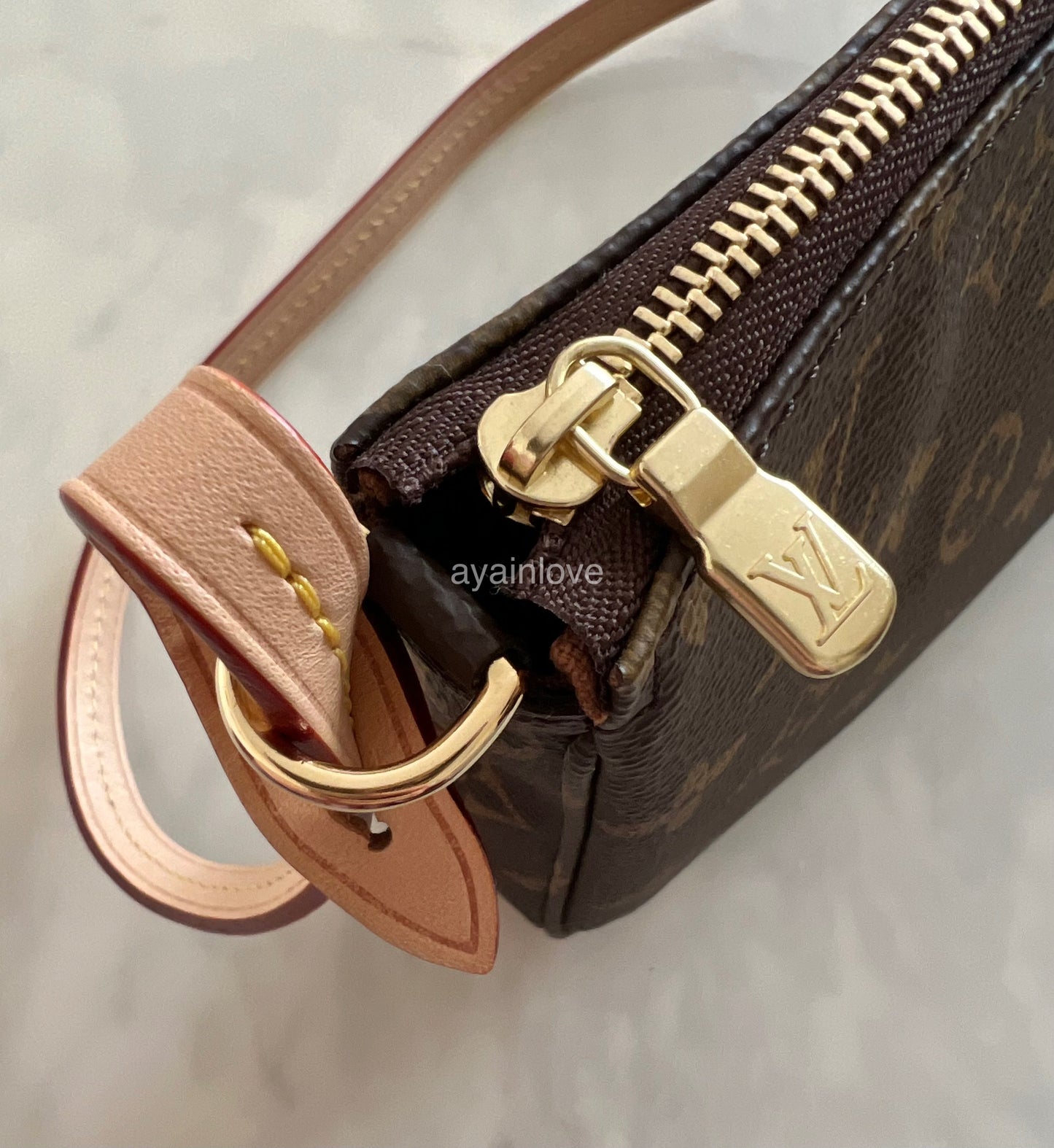 LOUIS VUITTON LV Pochette Accessoires *Old Version* Monogram Canvas Bag