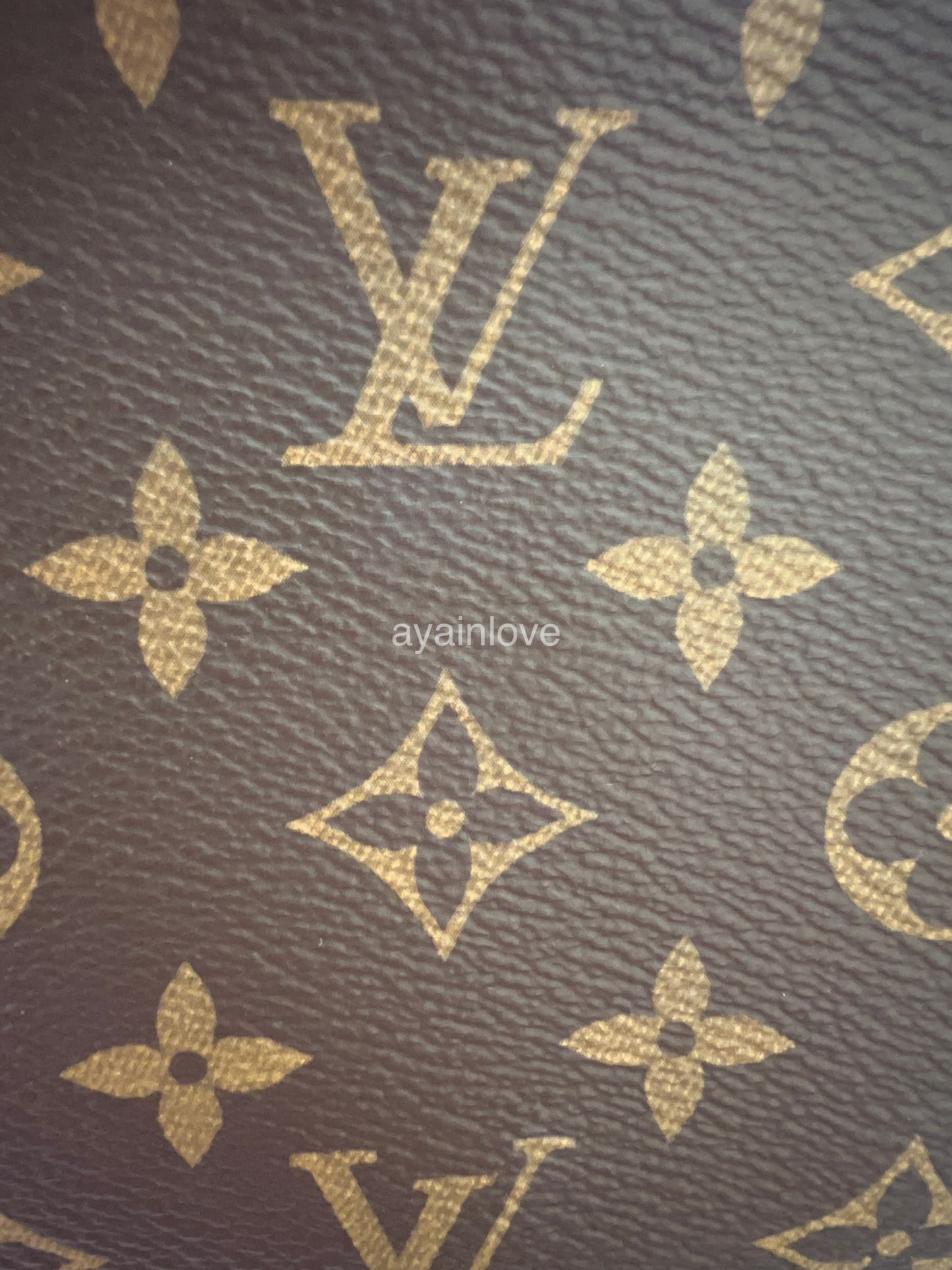 LOUIS VUITTON LV Pochette Accessoires *Old Version* Monogram Canvas Bag