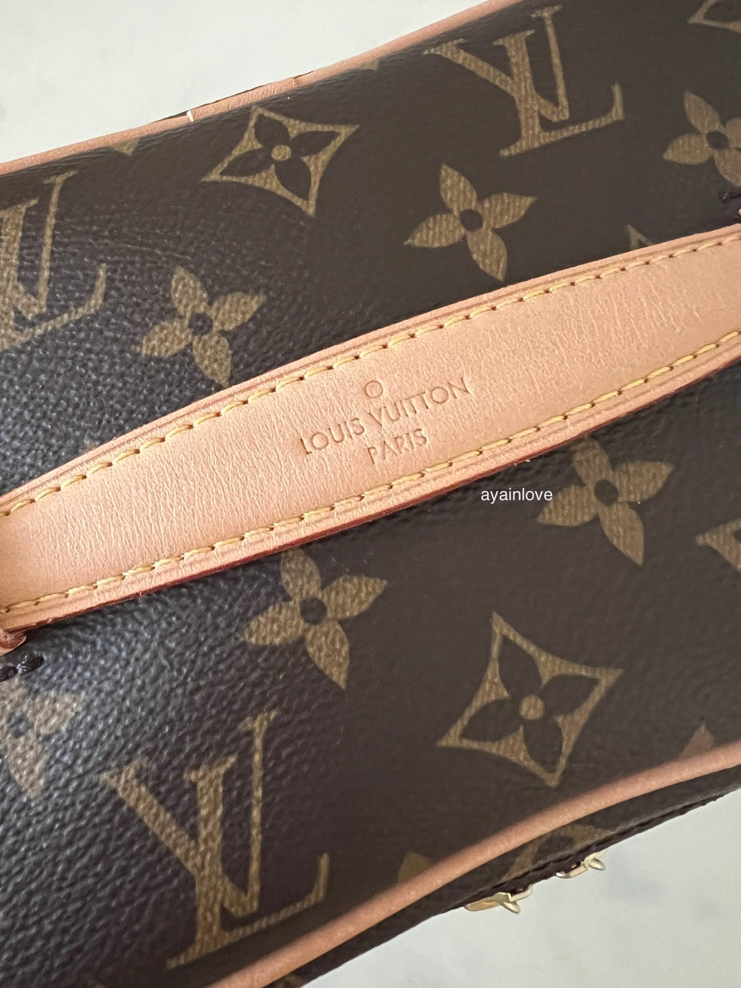 LOUIS VUITTON LV Monogram Mini Nice Bag