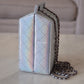 CHANEL 14K Limited Edition Runway Iridescent Silver Goatskin Lait de Coco Milk Carton Bag Shiny Ruthenium Hardware