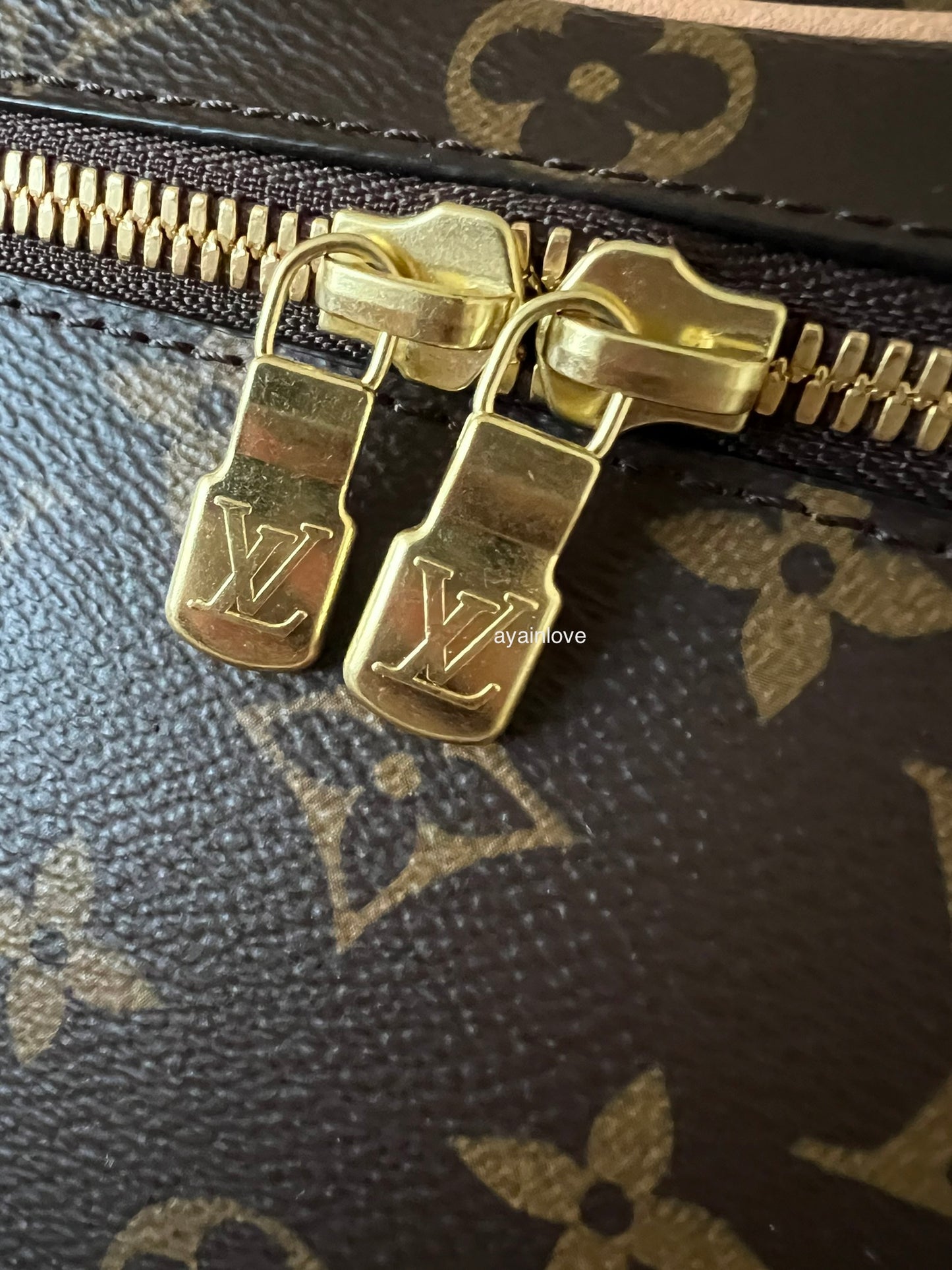 LOUIS VUITTON LV Monogram Mini Nice Bag