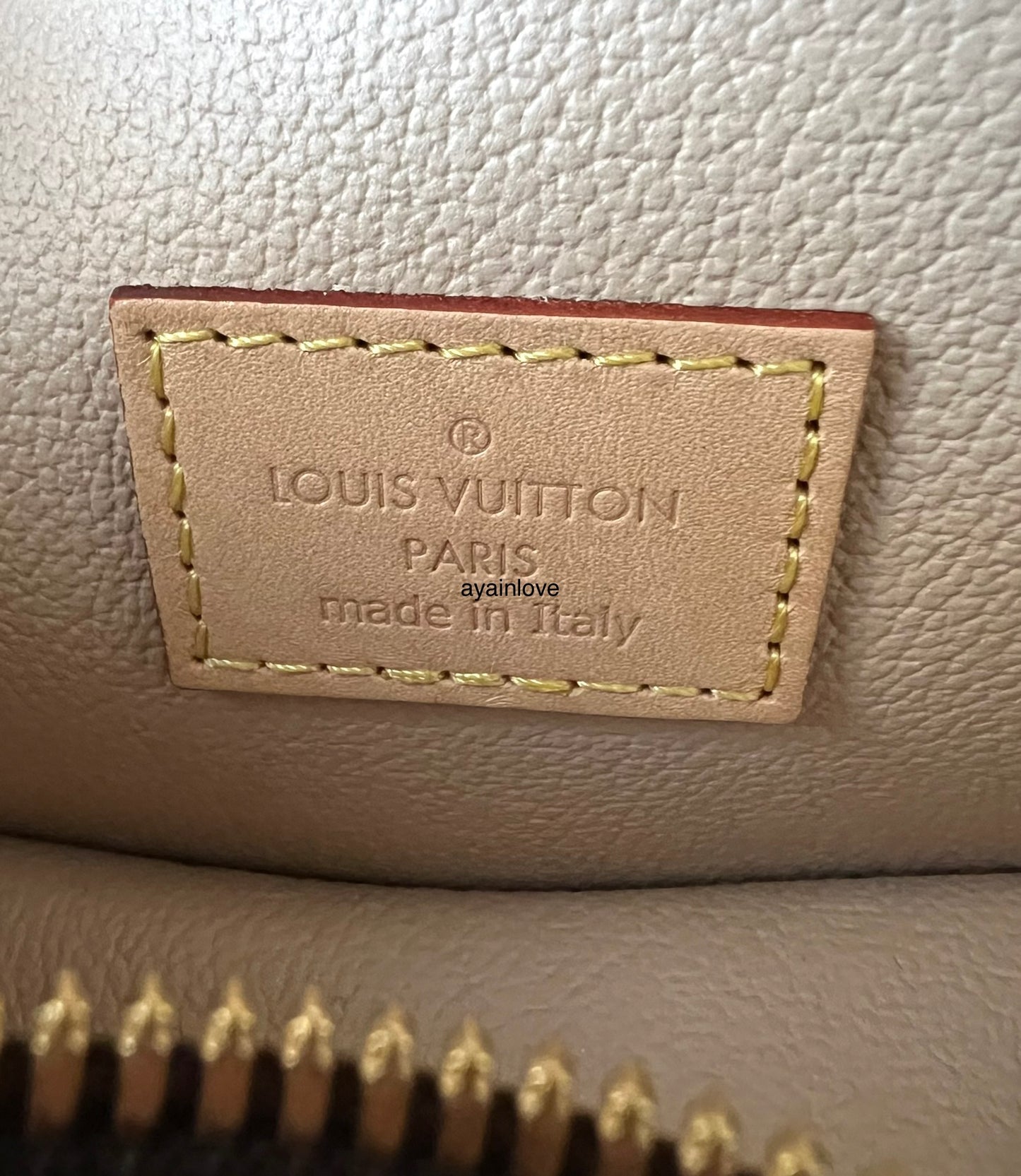 LOUIS VUITTON LV Monogram Mini Nice Bag