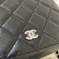 CHANEL 21K Black Caviar Small Camera Case Bag Silver Hardware