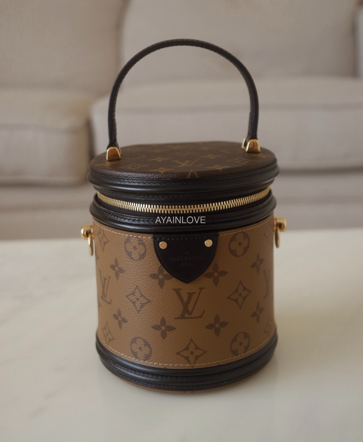 LOUIS VUITTON Cannes Reverse Monogram Gold Hardware