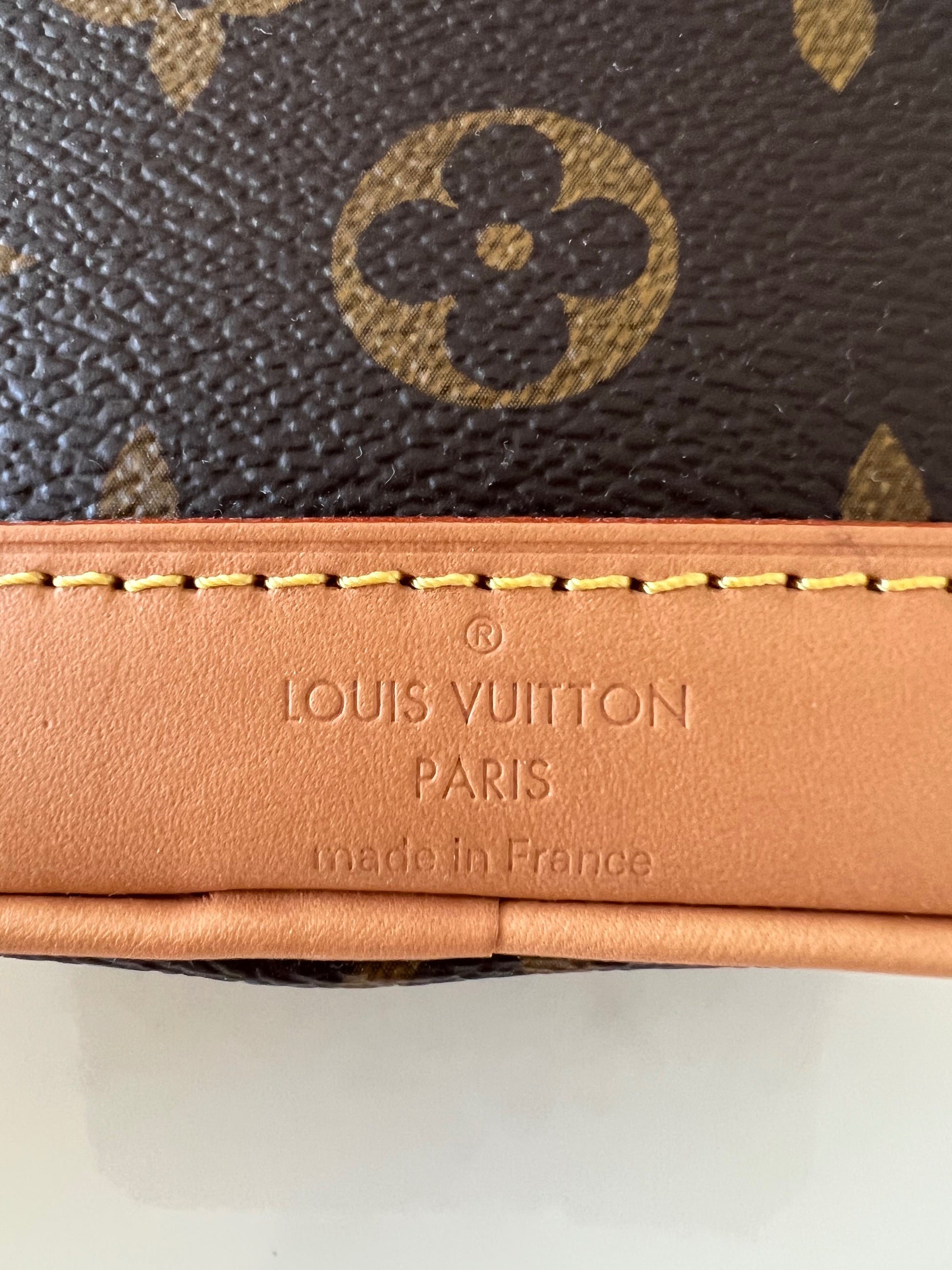 Louis Vuitton LV Women Nano Bucket Gold Coated Canvas Cowhide Leather -  LULUX